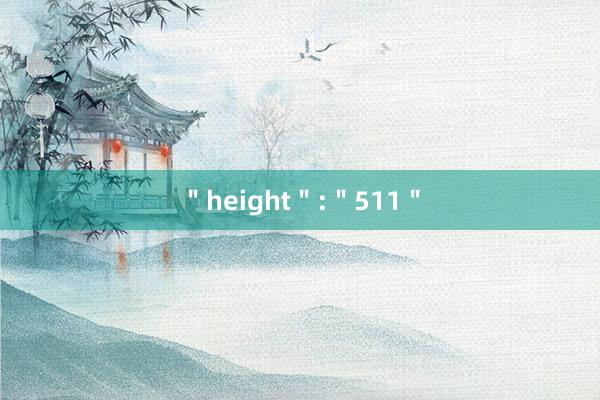 ＂height＂:＂511＂